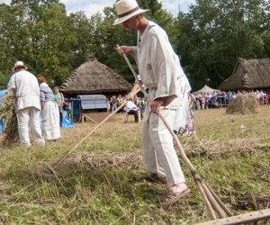 XVI Podlaskie Święto Chleba XVI Podlaskie Święto Chleba