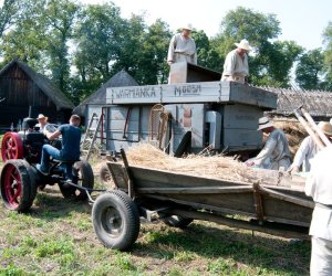 X PODLASKIE ŚWIĘTO CHLEBA