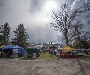 Jarmark św. Wojciecha - fotorelacja Jarmark św. Wojciecha - fotorelacja