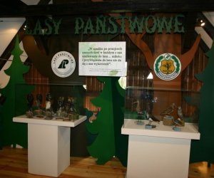 Nasza przyroda, Zagrożenia, cele i formy jej ochrony Nasza przyroda, Zagrożenia, cele i formy jej ochrony