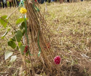 XVI Podlaskie Święto Chleba XVI Podlaskie Święto Chleba