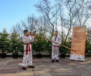 Galeria z 5 grudnia 2015 Galeria z 5 grudnia 2015