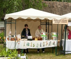 Odpust na sw. Antoniego 2014 Odpust na sw. Antoniego 2014