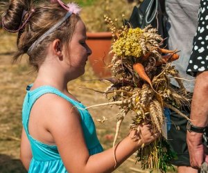 XV Podlaskie Święta Chleba w Muzeum Rolnictwa im. ks. Krzysztofa Kluka w Ciechanowcu XV Podlaskie Święta Chleba w Muzeum Rolnictwa im. ks. Krzysztofa Kluka w Ciechanowcu