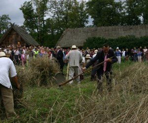 VIII PODLASKIE ŚWIĘTO CHLEBA