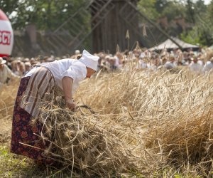 XXIII Podlaskie Święto Chleba - fotorelacja XXIII Podlaskie Święto Chleba - fotorelacja