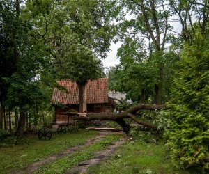 Nawałnica w Ciechanowcu Nawałnica w Ciechanowcu