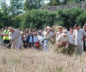 IX Podlaskie Święto Chleba IX Podlaskie Święto Chleba