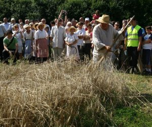 IX Podlaskie Święto Chleba IX Podlaskie Święto Chleba