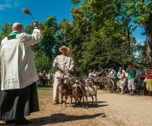 XV Podlaskie Święta Chleba w Muzeum Rolnictwa im. ks. Krzysztofa Kluka w Ciechanowcu XV Podlaskie Święta Chleba w Muzeum Rolnictwa im. ks. Krzysztofa Kluka w Ciechanowcu