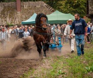 Jesień w polu i zagrodzie Jesień w polu i zagrodzie