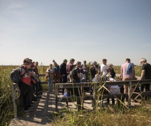 Konferencja naukowo-szkoleniowa: Parazytozy zwierząt - aktualne zagrożenia - nowe rowiązania terapeutyczne - fotorelacja