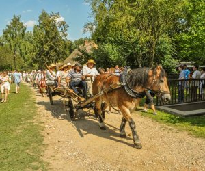 Święto Chleba po raz trzynasty Święto Chleba po raz trzynasty
