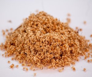 Niecodziennik Muzealny - Kiedy zakwitną dzikie bzy Niecodziennik Muzealny - Kiedy zakwitną dzikie bzy