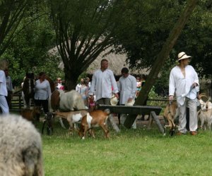 VII PODLASKIE ŚWIĘTO CHLEBA VII PODLASKIE ŚWIĘTO CHLEBA