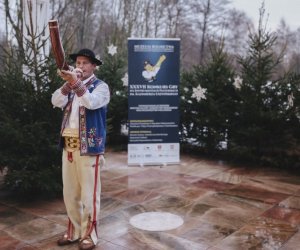 Ligawki 2018 Ligawki 2018