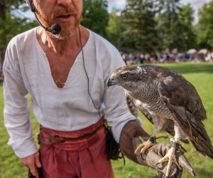 14 Zajazd Wysokomazowiecki - fotorelacja 14 Zajazd Wysokomazowiecki - fotorelacja