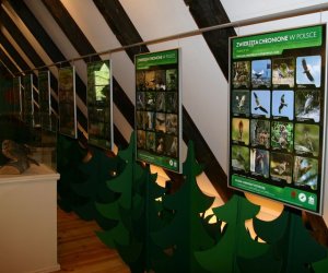 Nasza przyroda, Zagrożenia, cele i formy jej ochrony Nasza przyroda, Zagrożenia, cele i formy jej ochrony