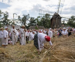 XXI Podlaskie Święto Chleba - fotorelacja XXI Podlaskie Święto Chleba - fotorelacja