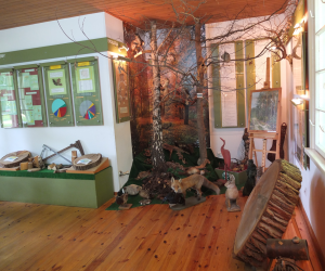 DZIAŁ HISTORII UPRAWY ROŚLIN I HODOWLI ZWIERZĄT DZIAŁ HISTORII UPRAWY ROŚLIN I HODOWLI ZWIERZĄT