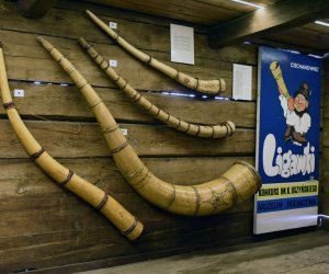 Nowa wystawa stała w Muzeum Rolnictwa Nowa wystawa stała w Muzeum Rolnictwa