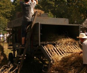 IX Podlaskie Święto Chleba IX Podlaskie Święto Chleba