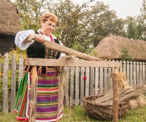 Wykopki w Skansenie 2013 Wykopki w Skansenie 2013