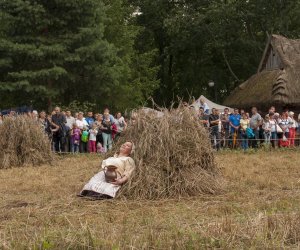 XVI Podlaskie Święto Chleba XVI Podlaskie Święto Chleba