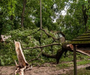 Nawałnica w Ciechanowcu Nawałnica w Ciechanowcu