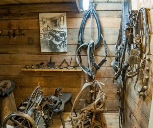 Noc Muzeów Noc Muzeów