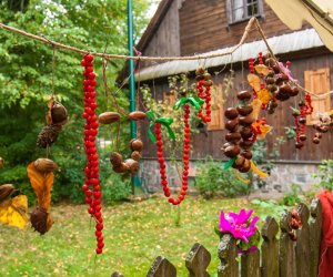 JESIEŃ W POLU I ZAGRODZIE JESIEŃ W POLU I ZAGRODZIE