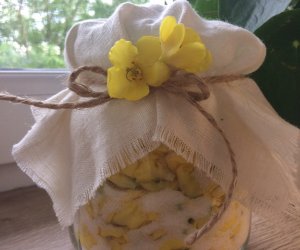 Niecodziennik Muzealny - Gdzie rośnie dziewanna ... Niecodziennik Muzealny - Gdzie rośnie dziewanna ...