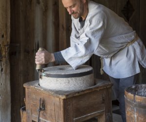 Jesień w polu i zagrodzie 2021 - fotorelacja