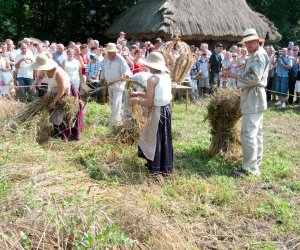 Podlaska Marka Roku 2010