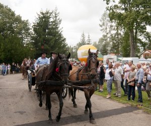 XVI Podlaskie Święto Chleba XVI Podlaskie Święto Chleba