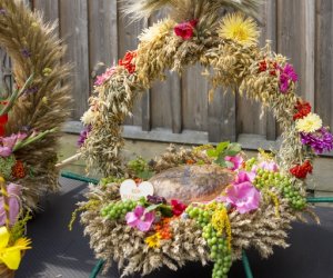 XX Podlaskie Święto Chleba - fotorelacja XX Podlaskie Święto Chleba - fotorelacja