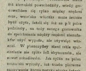 Niecodziennik muzealny - Uprawa ziemniaków w Polsce w XVIII i pierwszych dekadach XIX wieku. Niecodziennik muzealny - Uprawa ziemniaków w Polsce w XVIII i pierwszych dekadach XIX wieku.