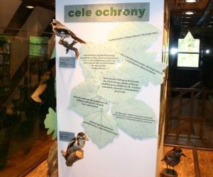 Nasza przyroda, Zagrożenia, cele i formy jej ochrony Nasza przyroda, Zagrożenia, cele i formy jej ochrony