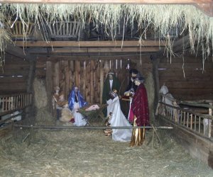 Szopka Bożonarodzeniowa