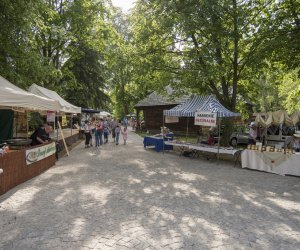 Odpust na św. Antoniego - fotorelacja Odpust na św. Antoniego - fotorelacja