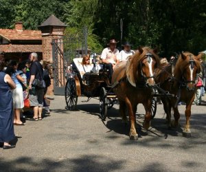 IX Podlaskie Święto Chleba IX Podlaskie Święto Chleba