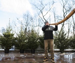 LIGAWKI 2016 - Fotorelacja z konkursu LIGAWKI 2016 - Fotorelacja z konkursu