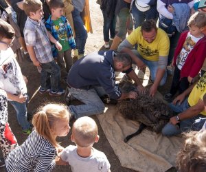 JESIEŃ W POLU I ZAGRODZIE w ramach Europejskich Dni Dziedzictwa 18 września 2016 r. JESIEŃ W POLU I ZAGRODZIE w ramach Europejskich Dni Dziedzictwa 18 września 2016 r.