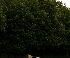 Początek wiosny w Muzeum Rolnictwa im. ks. K. Kluka w Ciechanowcu to czas dla zwierząt. Początek wiosny w Muzeum Rolnictwa im. ks. K. Kluka w Ciechanowcu to czas dla zwierząt.