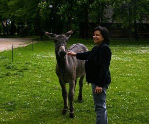 Początek wiosny w Muzeum Rolnictwa im. ks. K. Kluka w Ciechanowcu to czas dla zwierząt. Początek wiosny w Muzeum Rolnictwa im. ks. K. Kluka w Ciechanowcu to czas dla zwierząt.