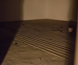 Budowa centralnego magazynu zbiorów wraz z częścią ekspozycyjną i centrum edukacyjnym – etap I Budowa centralnego magazynu zbiorów wraz z częścią ekspozycyjną i centrum edukacyjnym – etap I