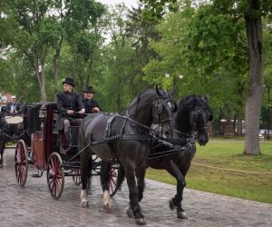 Noc Muzeów 2019 - fotorelacja Noc Muzeów 2019 - fotorelacja