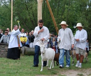 VIII PODLASKIE ŚWIĘTO CHLEBA VIII PODLASKIE ŚWIĘTO CHLEBA