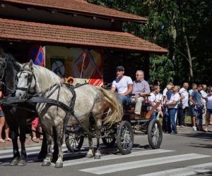 XVIII Podlaskie Święto Chleba - fotorelacja XVIII Podlaskie Święto Chleba - fotorelacja