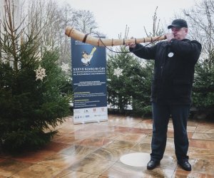 Ligawki 2017 - fotorelacja Ligawki 2017 - fotorelacja